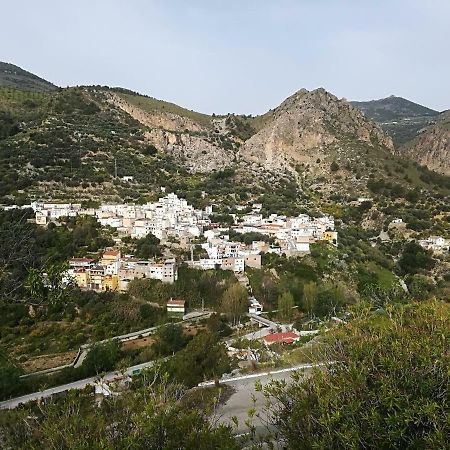 Acebuches Pergar Descanso-15 Minutos Playa-Puerto-Motril Ferry מראה חיצוני תמונה